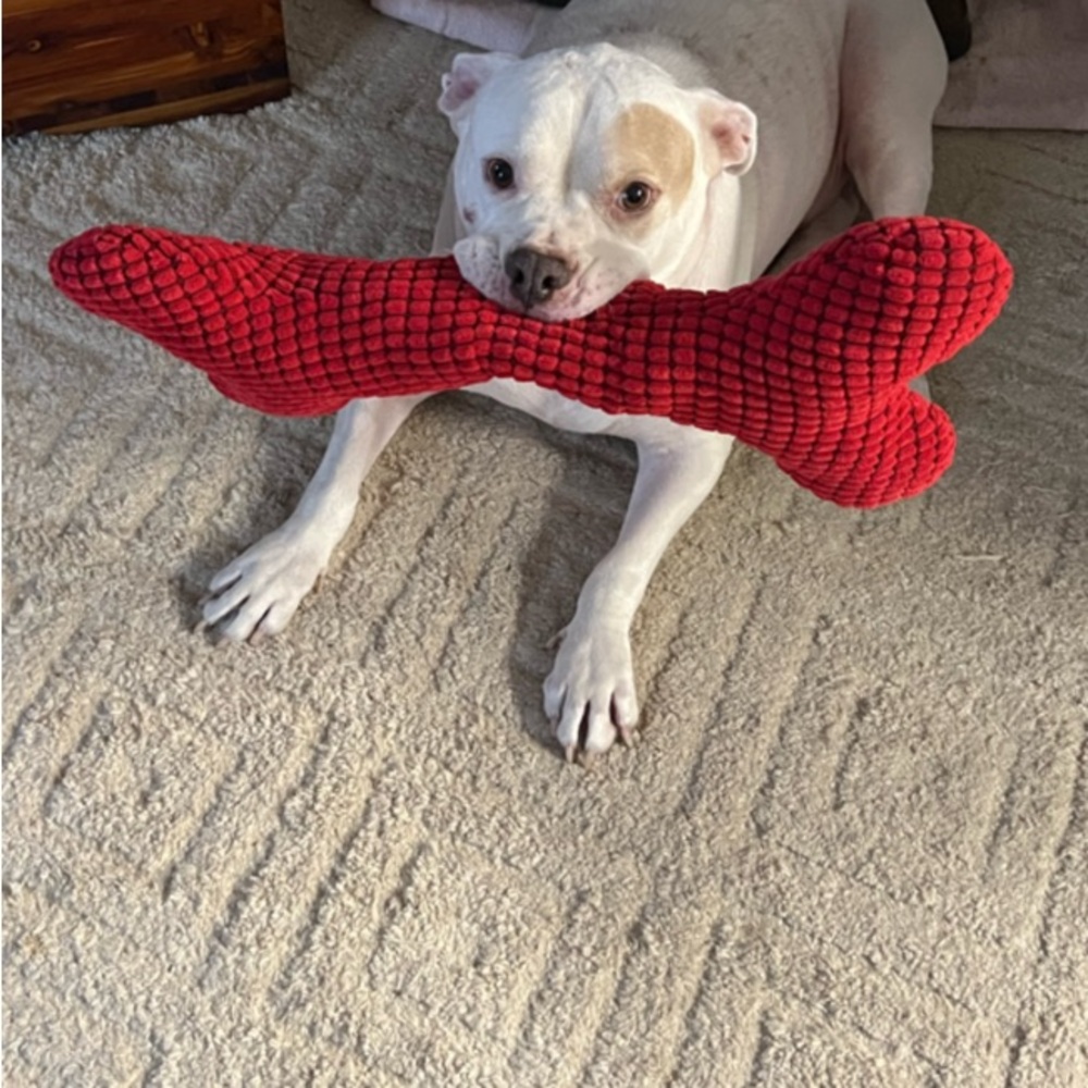 Early Morning Coffee and Share Show - Picture 6 of 9